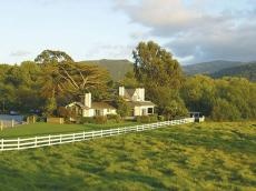 Mission Ranch, ����� ������