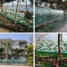 Турецкий бизнесмен окружил свою виллу Эгейским морем