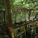 Заброшенные парки: где больше никогда не будет слышен детский смех