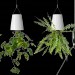 Причин покупать овощи в магазине становится все меньше