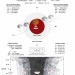 4 апреля произойдет полное лунное затмение